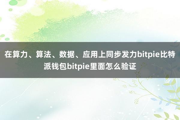 在算力、算法、数据、应用上同步发力bitpie比特派钱包bitpie里面怎么验证