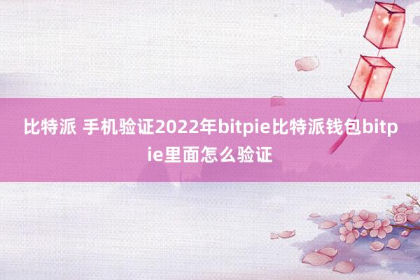 比特派 手机验证　　2022年bitpie比特派钱包bitpie里面怎么验证