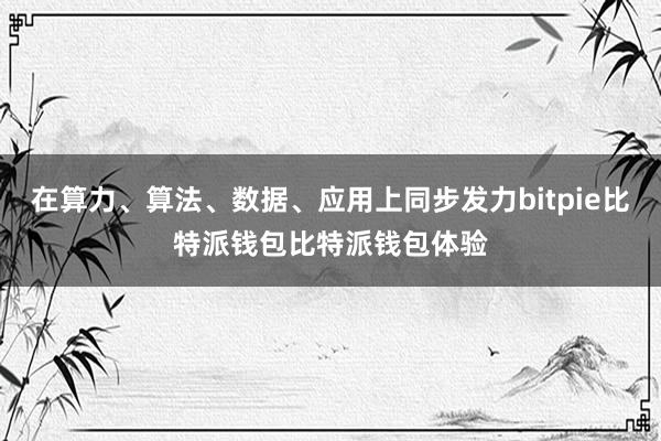 在算力、算法、数据、应用上同步发力bitpie比特派钱包比特派钱包体验