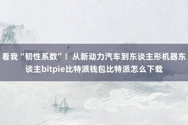 看我“韧性系数”！从新动力汽车到东谈主形机器东谈主bitpie比特派钱包比特派怎么下载