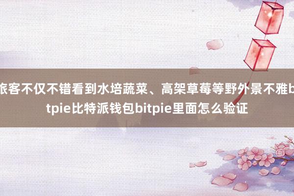 旅客不仅不错看到水培蔬菜、高架草莓等野外景不雅bitpie比特派钱包bitpie里面怎么验证