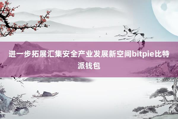 进一步拓展汇集安全产业发展新空间bitpie比特派钱包