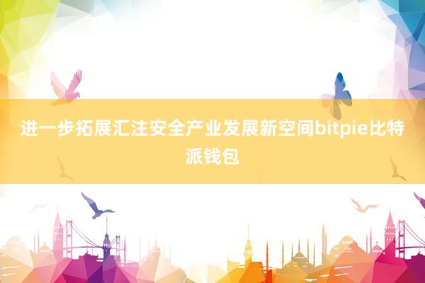 进一步拓展汇注安全产业发展新空间bitpie比特派钱包