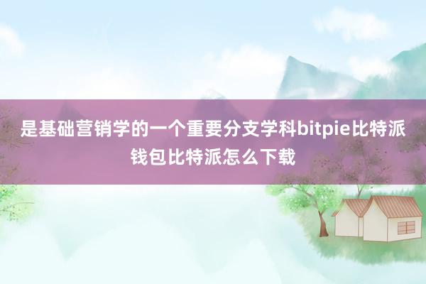 是基础营销学的一个重要分支学科bitpie比特派钱包比特派怎么下载