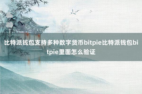 比特派钱包支持多种数字货币bitpie比特派钱包bitpie里面怎么验证