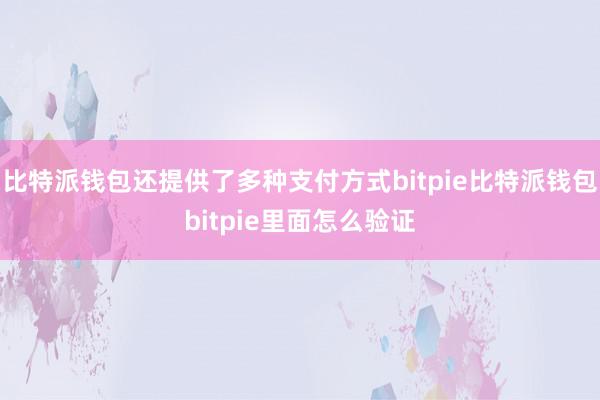 比特派钱包还提供了多种支付方式bitpie比特派钱包bitpie里面怎么验证