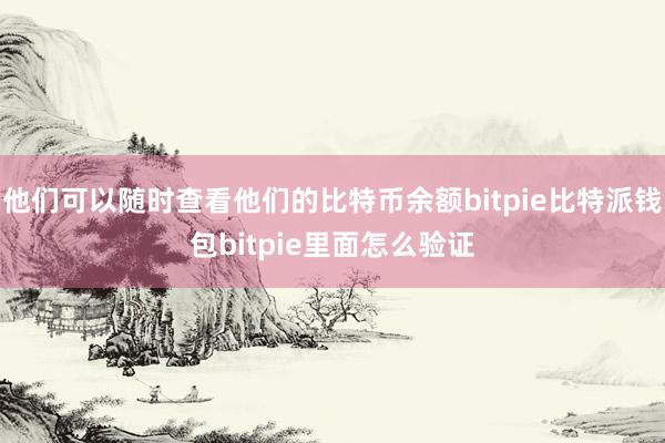 他们可以随时查看他们的比特币余额bitpie比特派钱包bitpie里面怎么验证