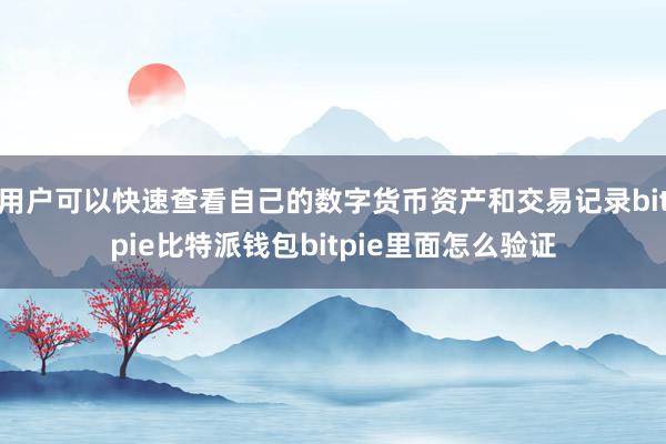 用户可以快速查看自己的数字货币资产和交易记录bitpie比特派钱包bitpie里面怎么验证