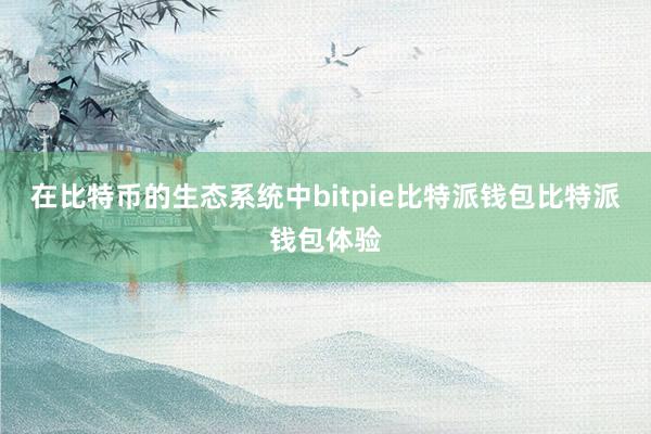 在比特币的生态系统中bitpie比特派钱包比特派钱包体验