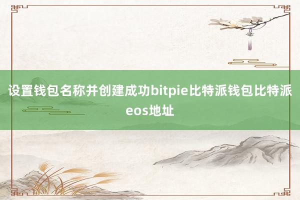 设置钱包名称并创建成功bitpie比特派钱包比特派eos地址