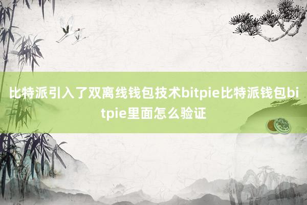 比特派引入了双离线钱包技术bitpie比特派钱包bitpie里面怎么验证