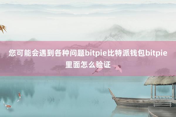 您可能会遇到各种问题bitpie比特派钱包bitpie里面怎么验证