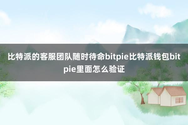 比特派的客服团队随时待命bitpie比特派钱包bitpie里面怎么验证