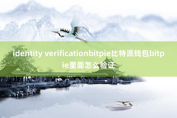 identity verificationbitpie比特派钱包bitpie里面怎么验证