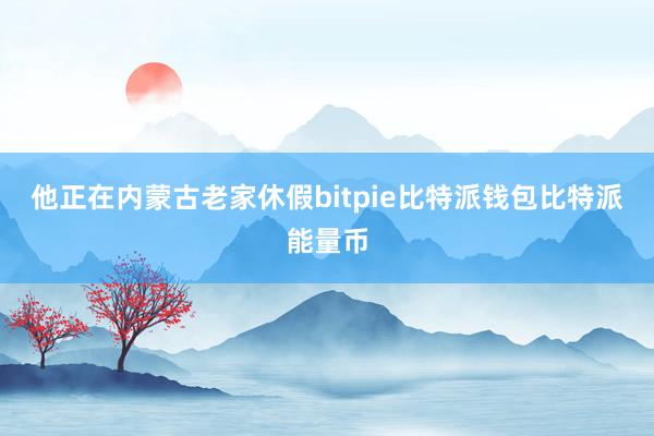 他正在内蒙古老家休假bitpie比特派钱包比特派能量币