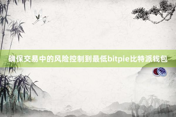 确保交易中的风险控制到最低bitpie比特派钱包