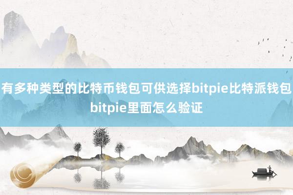 有多种类型的比特币钱包可供选择bitpie比特派钱包bitpie里面怎么验证