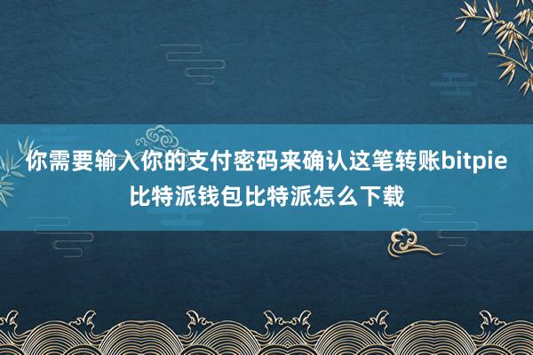 你需要输入你的支付密码来确认这笔转账bitpie比特派钱包比特派怎么下载