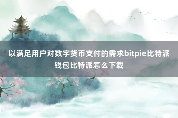 以满足用户对数字货币支付的需求bitpie比特派钱包比特派怎么下载