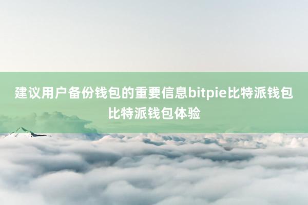 建议用户备份钱包的重要信息bitpie比特派钱包比特派钱包体验