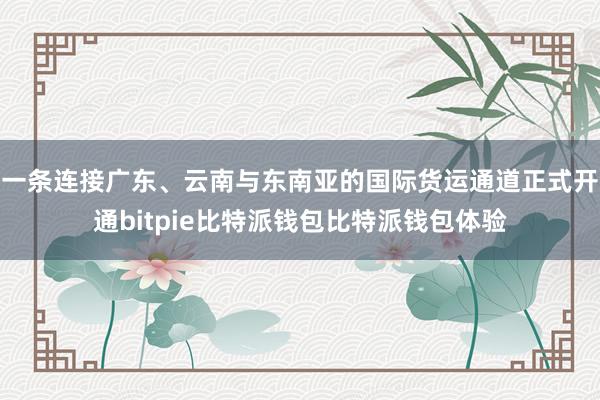 一条连接广东、云南与东南亚的国际货运通道正式开通bitpie比特派钱包比特派钱包体验