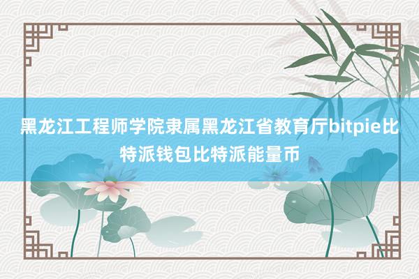 黑龙江工程师学院隶属黑龙江省教育厅bitpie比特派钱包比特派能量币