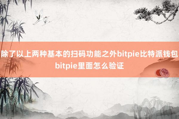 除了以上两种基本的扫码功能之外bitpie比特派钱包bitpie里面怎么验证