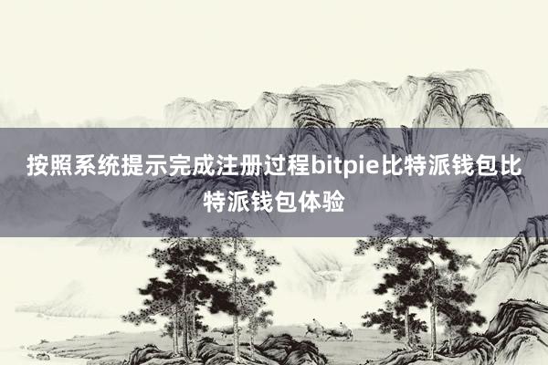 按照系统提示完成注册过程bitpie比特派钱包比特派钱包体验