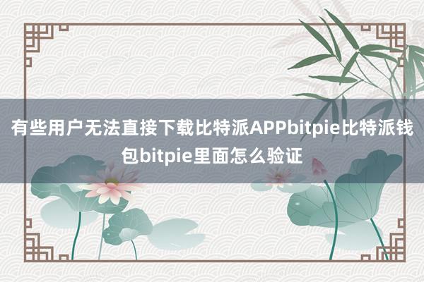 有些用户无法直接下载比特派APPbitpie比特派钱包bitpie里面怎么验证