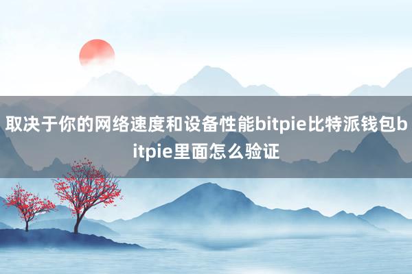 取决于你的网络速度和设备性能bitpie比特派钱包bitpie里面怎么验证