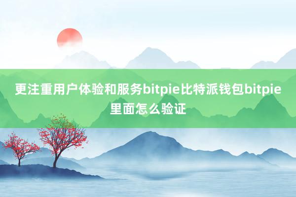 更注重用户体验和服务bitpie比特派钱包bitpie里面怎么验证