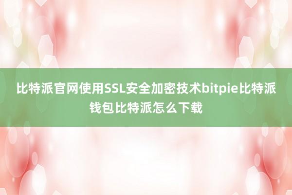 比特派官网使用SSL安全加密技术bitpie比特派钱包比特派怎么下载