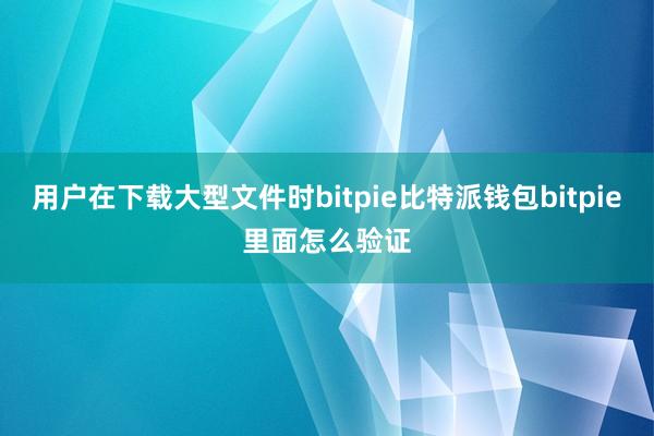 用户在下载大型文件时bitpie比特派钱包bitpie里面怎么验证