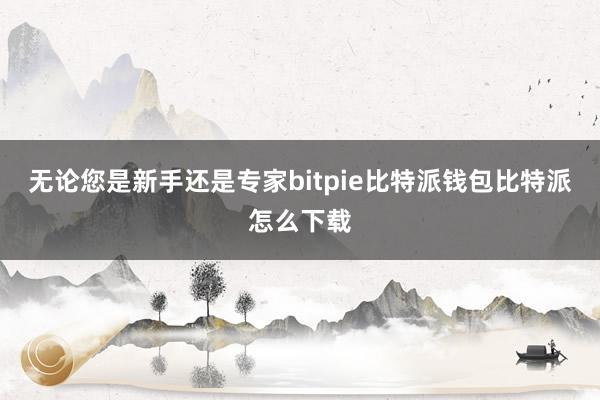 无论您是新手还是专家bitpie比特派钱包比特派怎么下载