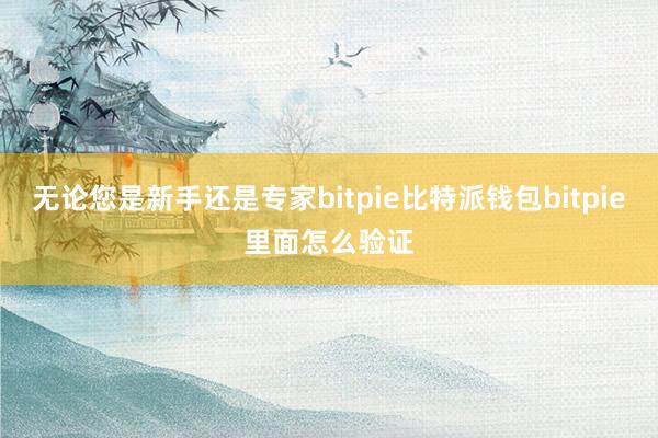 无论您是新手还是专家bitpie比特派钱包bitpie里面怎么验证