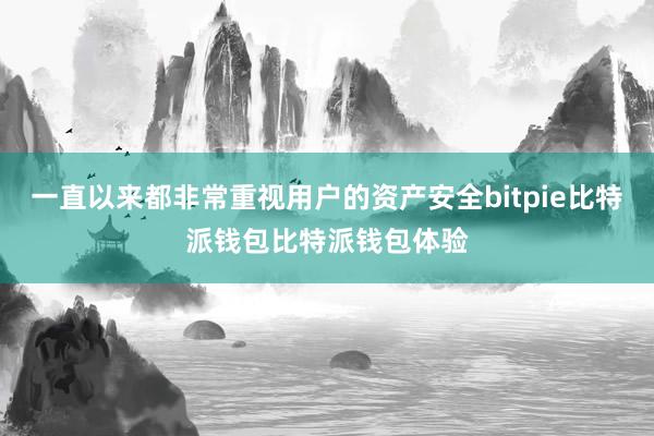 一直以来都非常重视用户的资产安全bitpie比特派钱包比特派钱包体验