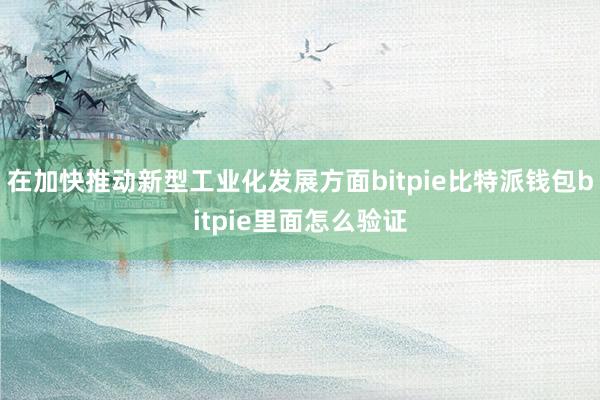 在加快推动新型工业化发展方面bitpie比特派钱包bitpie里面怎么验证