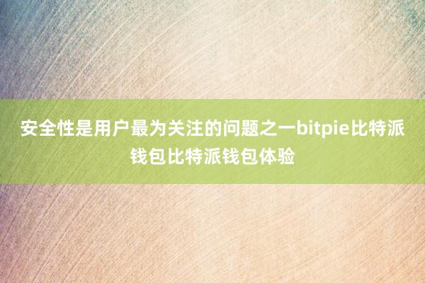 安全性是用户最为关注的问题之一bitpie比特派钱包比特派钱包体验