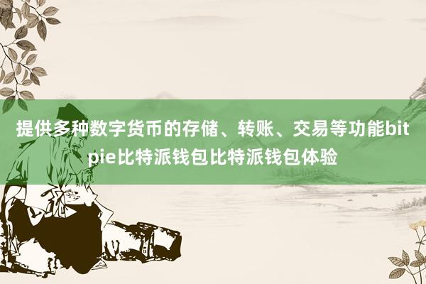 提供多种数字货币的存储、转账、交易等功能bitpie比特派钱包比特派钱包体验