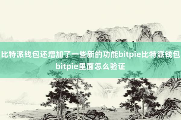 比特派钱包还增加了一些新的功能bitpie比特派钱包bitpie里面怎么验证