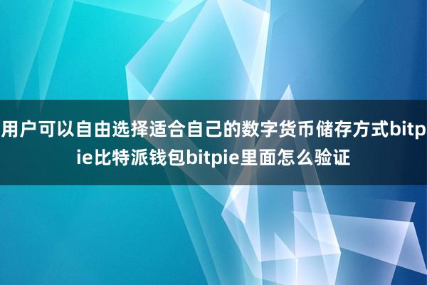 用户可以自由选择适合自己的数字货币储存方式bitpie比特派钱包bitpie里面怎么验证