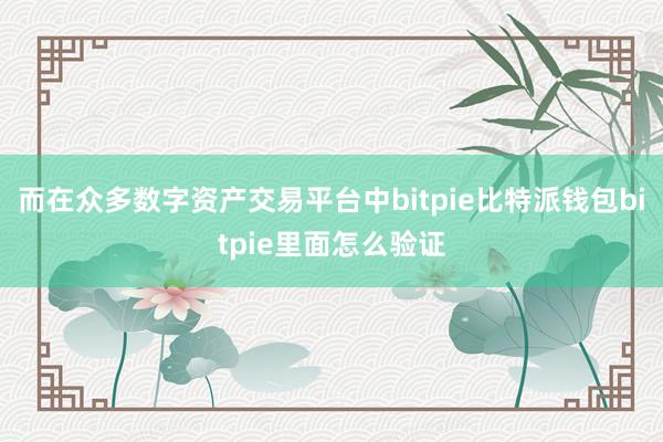 而在众多数字资产交易平台中bitpie比特派钱包bitpie里面怎么验证