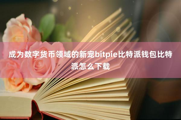 成为数字货币领域的新宠bitpie比特派钱包比特派怎么下载