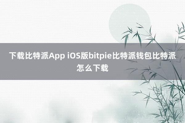 下载比特派App iOS版bitpie比特派钱包比特派怎么下载