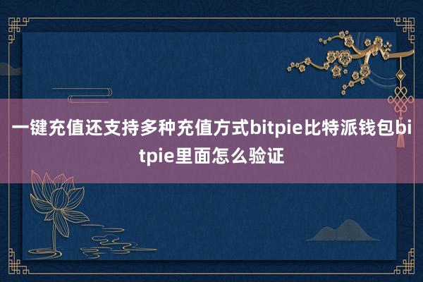 一键充值还支持多种充值方式bitpie比特派钱包bitpie里面怎么验证