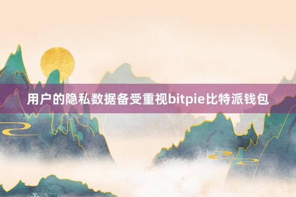 用户的隐私数据备受重视bitpie比特派钱包