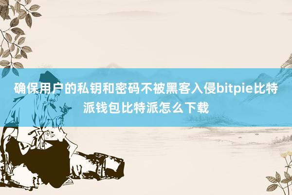 确保用户的私钥和密码不被黑客入侵bitpie比特派钱包比特派怎么下载