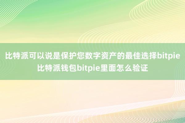 比特派可以说是保护您数字资产的最佳选择bitpie比特派钱包bitpie里面怎么验证