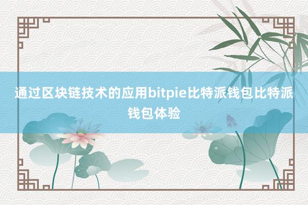 通过区块链技术的应用bitpie比特派钱包比特派钱包体验