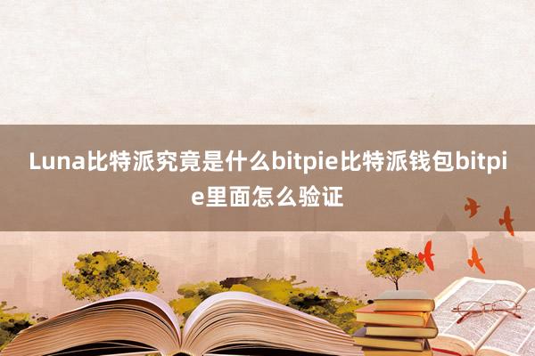 Luna比特派究竟是什么bitpie比特派钱包bitpie里面怎么验证